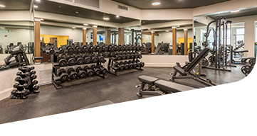 Strength training equipment at Ogunquit Fitness Center